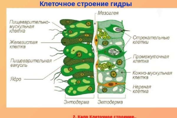 Оригинальные ссылки кракена