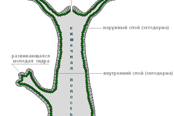 Не входит в кракен пользователь не найден