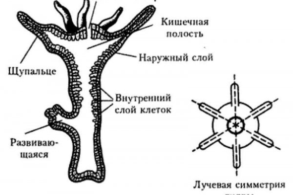 Кракен шоп это