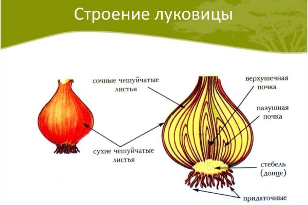 Работающий сайт кракен